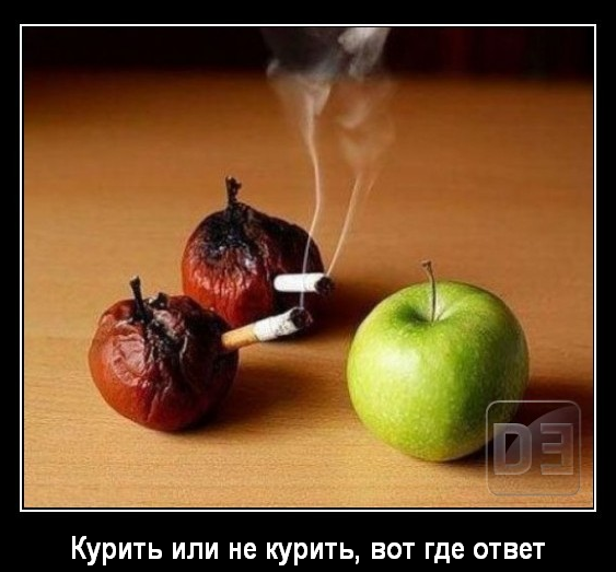 курить или не курить