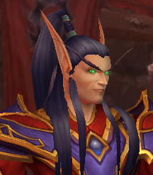 Finally New Blood Elf Models Page 18