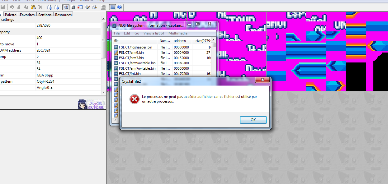 dslazy application program error